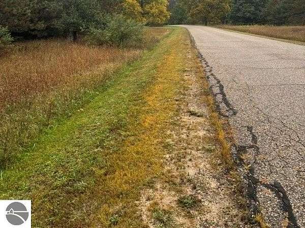 34 Acres of Recreational & Residential Land for Sale in Bellaire, Michigan