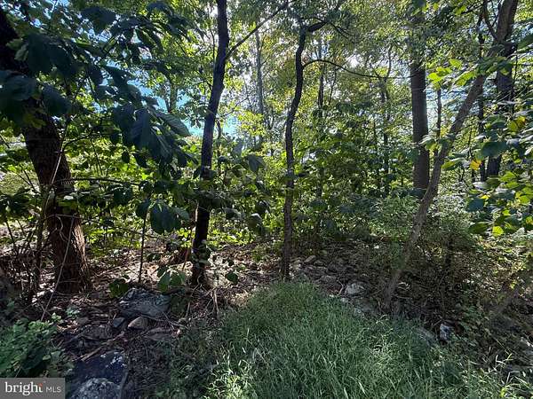 0.58 Acres of Residential Land for Sale in Harrisburg, Pennsylvania