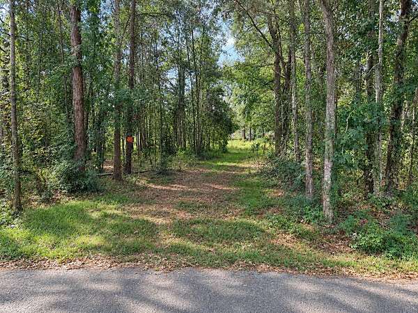 0.45 Acres of Residential Land for Sale in Vidor, Texas