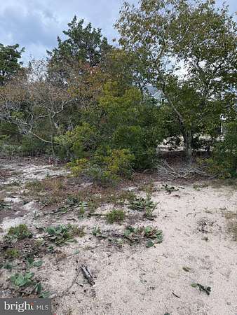 0.11 Acres of Residential Land for Sale in Milton, Delaware