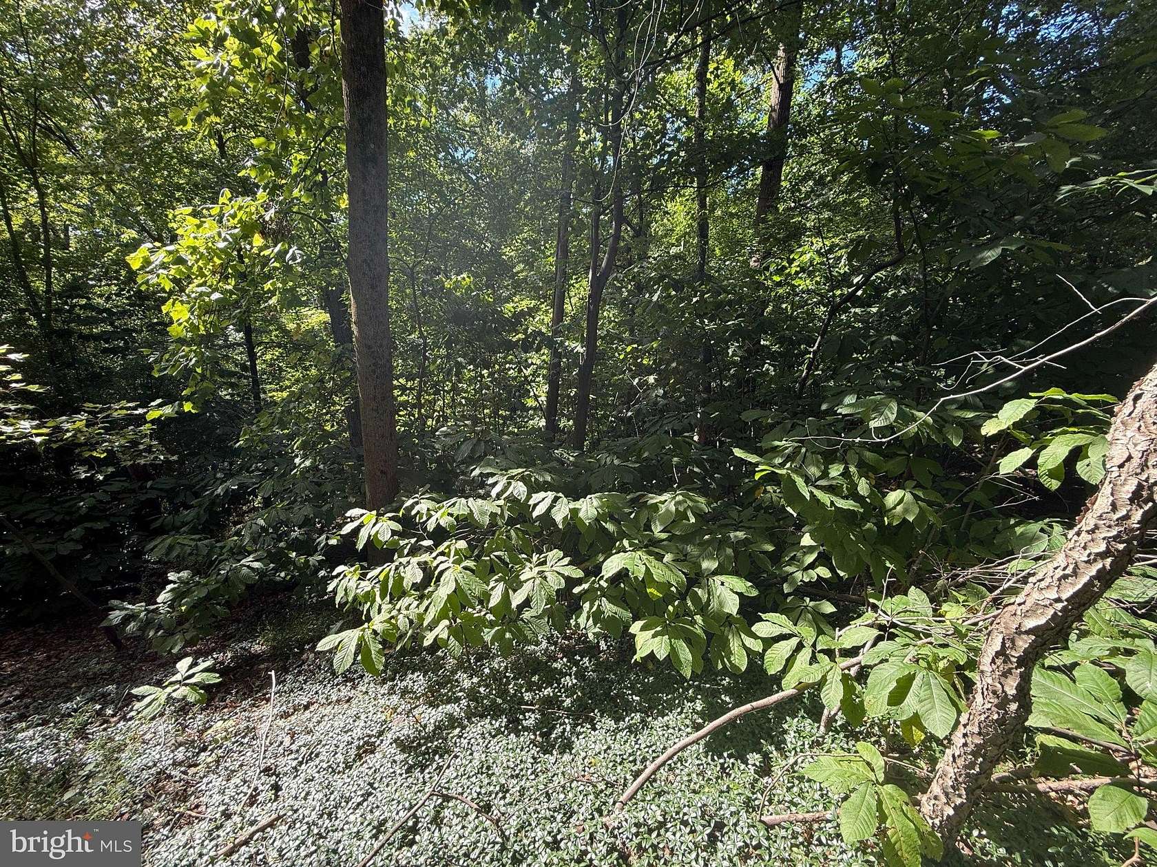 0.92 Acres of Residential Land for Sale in Harrisburg, Pennsylvania