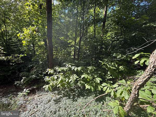 0.92 Acres of Residential Land for Sale in Harrisburg, Pennsylvania