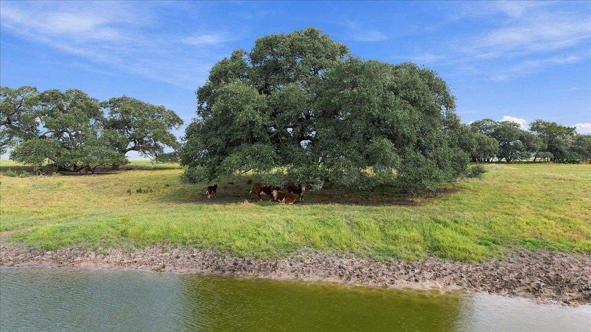 15 Acres of Land for Sale in Schulenburg, Texas