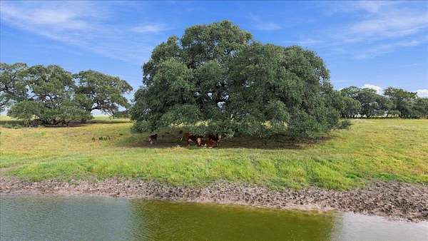 15 Acres of Land for Sale in Schulenburg, Texas