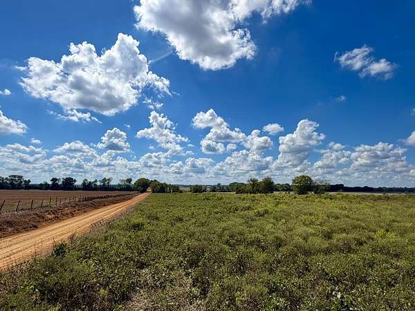 2.71 Acres of Residential Land for Sale in Newton, Alabama