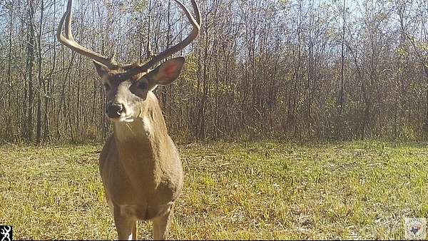 214 Acres of Recreational Land for Sale in De Kalb, Texas