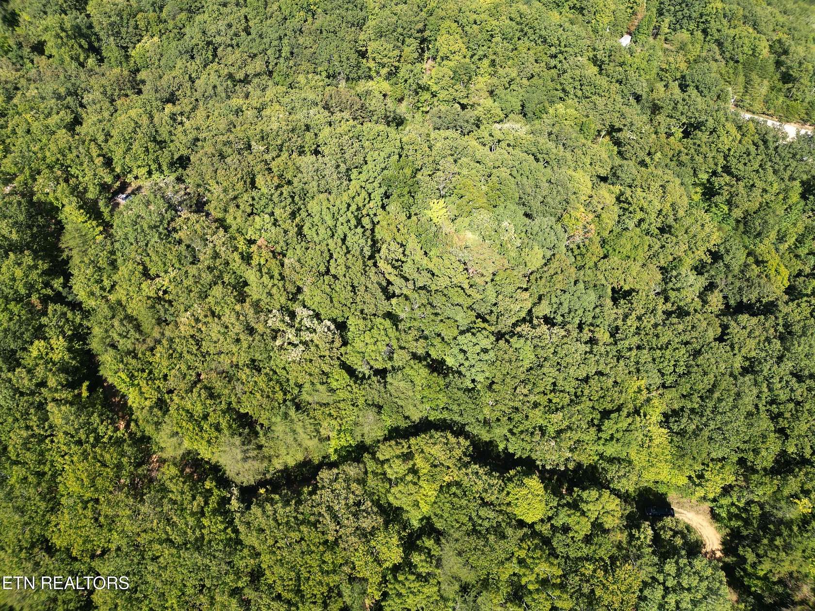 0.29 Acres of Residential Land for Sale in Rockwood, Tennessee