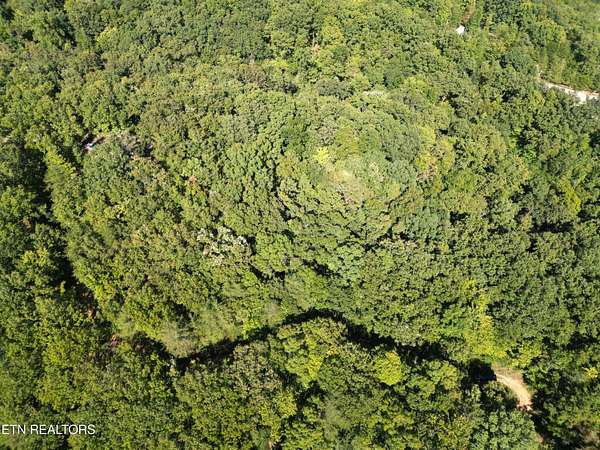 0.29 Acres of Residential Land for Sale in Rockwood, Tennessee