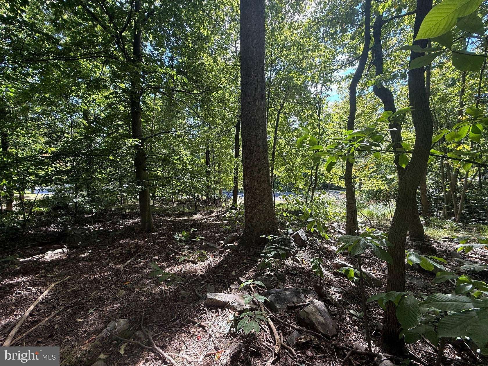 0.64 Acres of Residential Land for Sale in Harrisburg, Pennsylvania