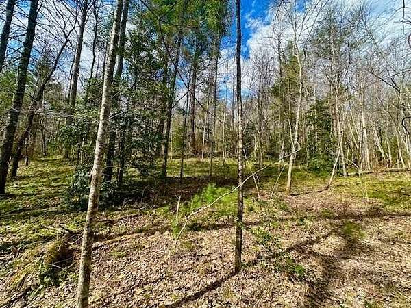 19.5 Acres of Recreational & Residential Land for Sale in Sunbright, Tennessee