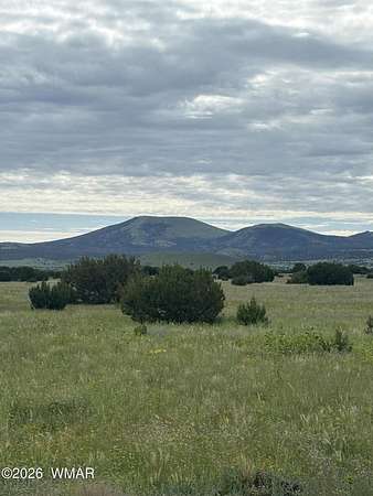 2.5 Acres of Residential Land for Sale in Vernon, Arizona