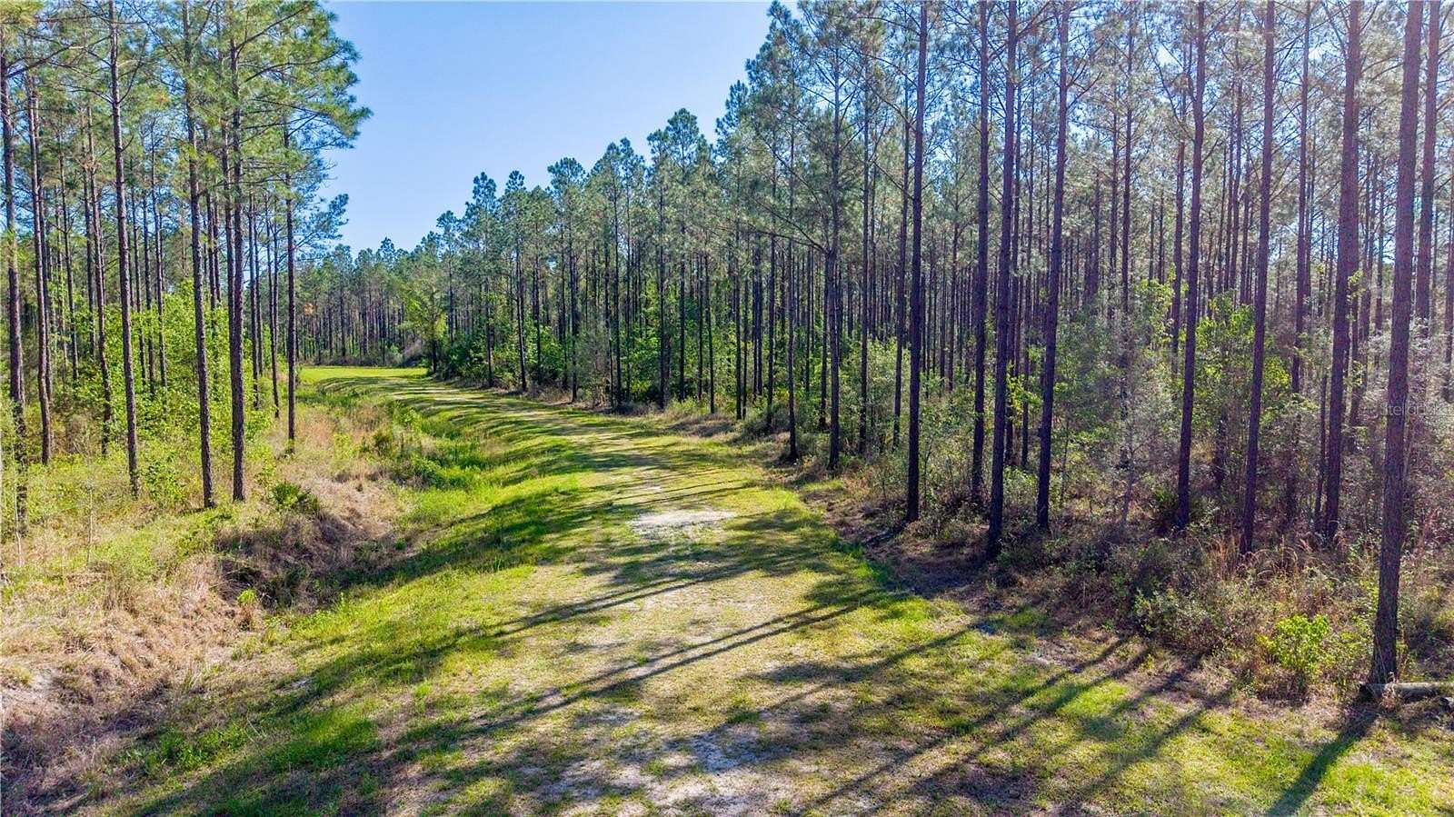 287 Acres of Recreational & Residential Land for Sale in Starke, Florida