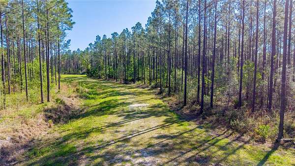 287 Acres of Recreational & Residential Land for Sale in Starke, Florida