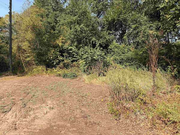 0.33 Acres of Residential Land for Sale in Longview, Texas
