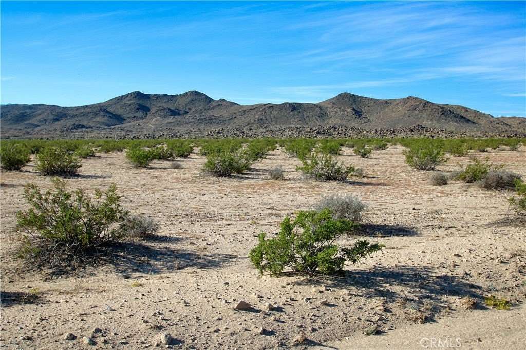 10 Acres of Residential Land for Sale in Joshua Tree, California