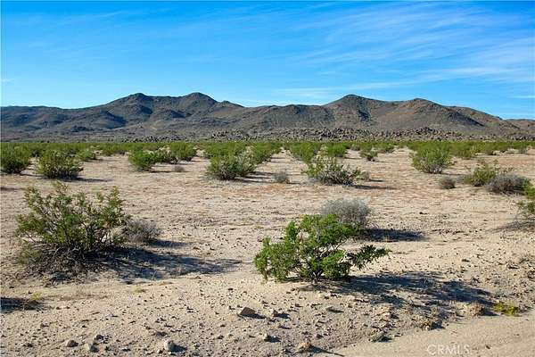 10 Acres of Residential Land for Sale in Joshua Tree, California
