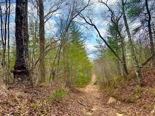18 Acres of Recreational & Residential Land for Sale in Sunbright, Tennessee