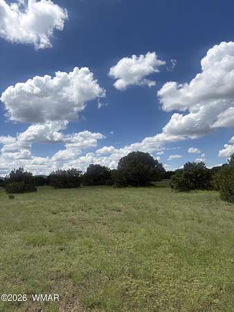 2.5 Acres of Residential Land for Sale in Vernon, Arizona