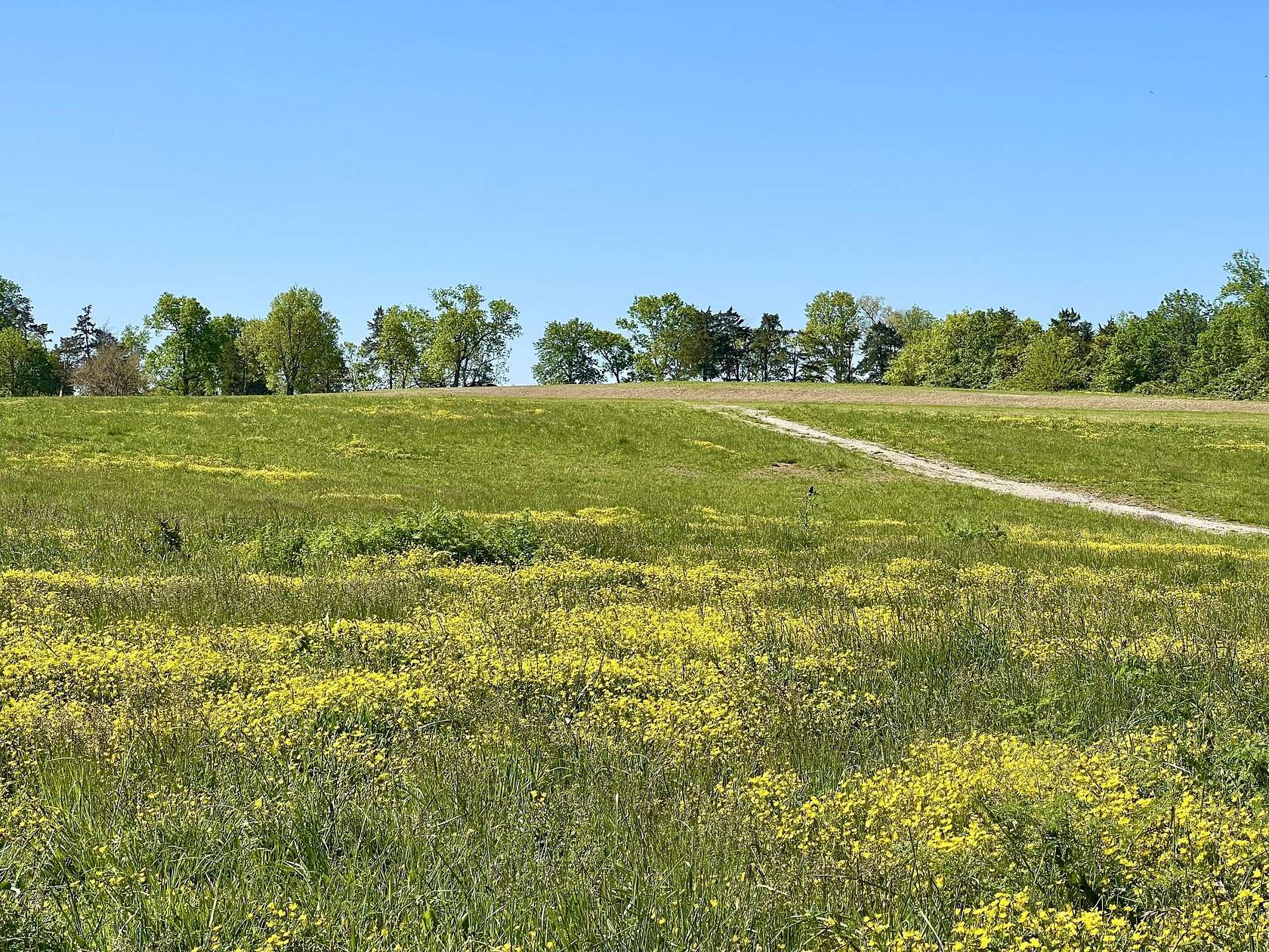 5 Acres of Residential Land for Sale in Wilmore, Kentucky