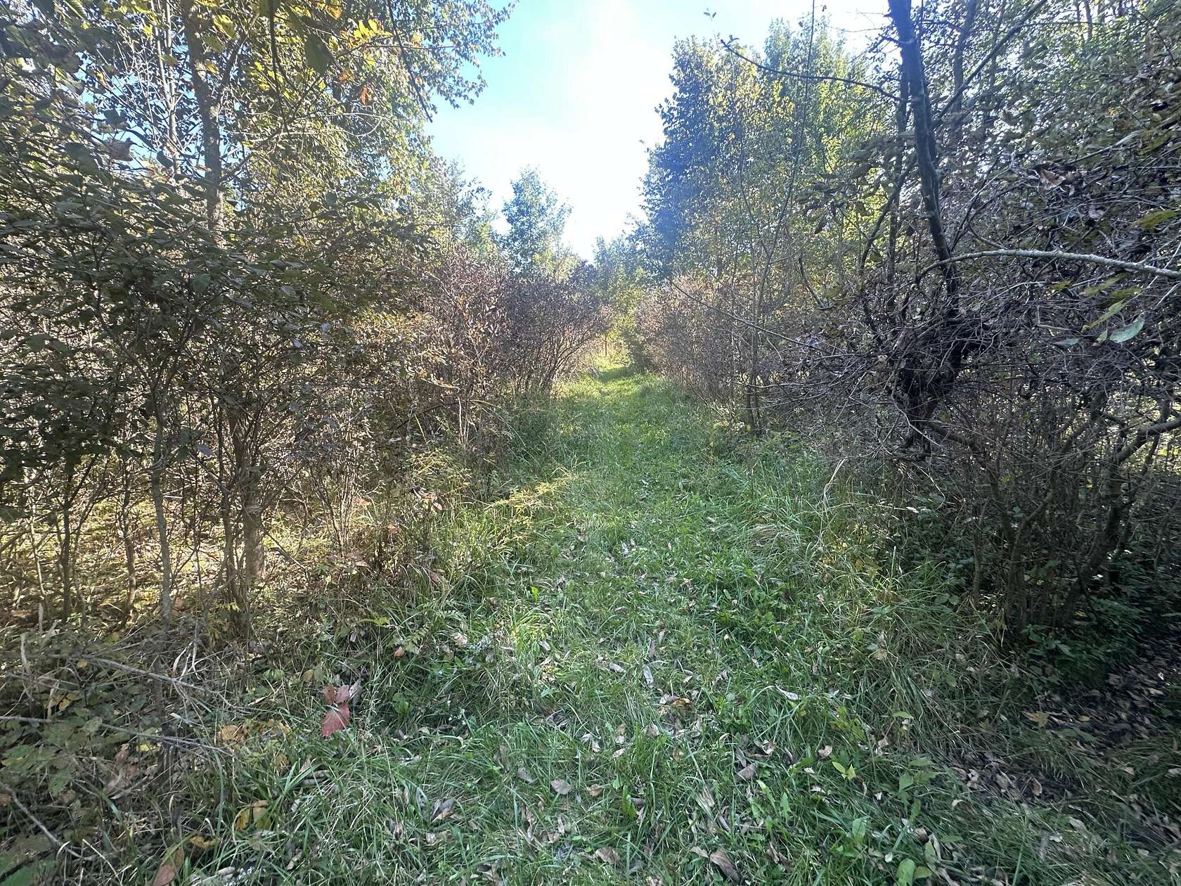 5 Acres of Land for Sale in Marshall, Michigan