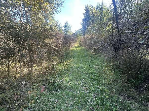5 Acres of Land for Sale in Marshall, Michigan