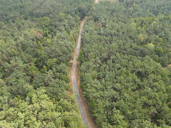 53 Acres of Land for Sale in Ripley, Mississippi