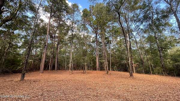 5.44 Acres of Residential Land for Sale in Saucier, Mississippi