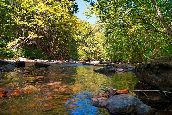 112 Acres of Land for Sale in Alderson, West Virginia