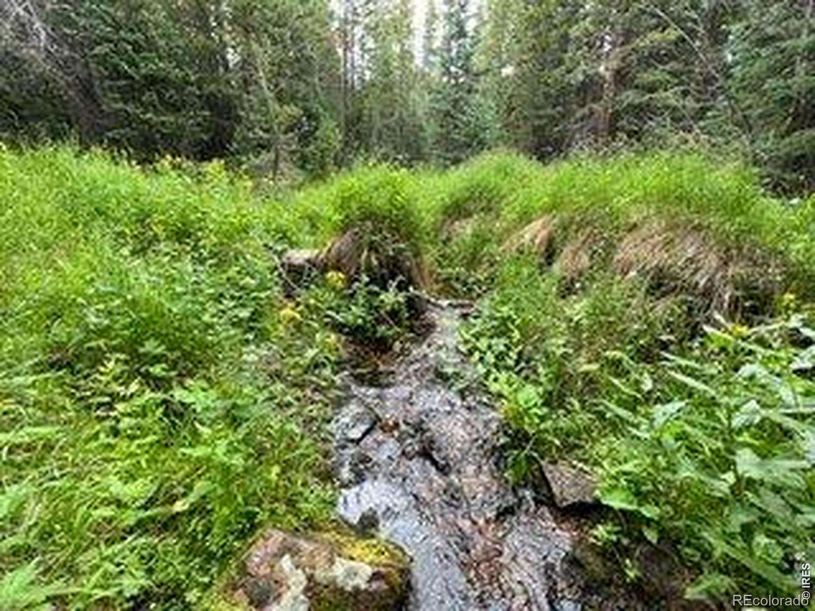 40 Acres of Recreational & Residential Land for Sale in Red Feather Lakes, Colorado