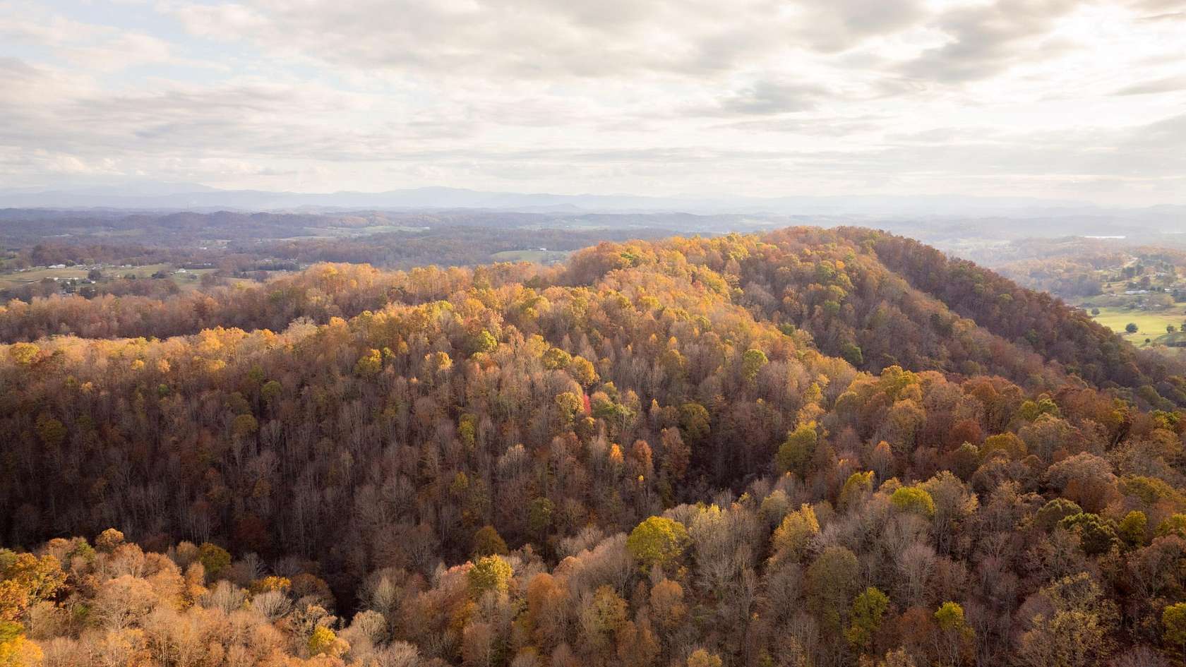273 Acres of Recreational & Residential Land for Sale in Blountville, Tennessee