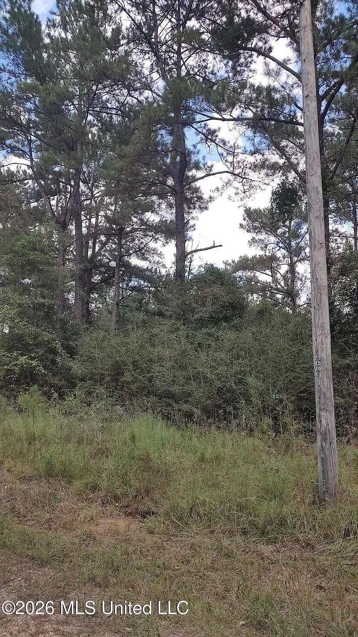 0.34 Acres of Residential Land for Sale in Lumberton, Mississippi