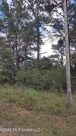 0.34 Acres of Residential Land for Sale in Lumberton, Mississippi