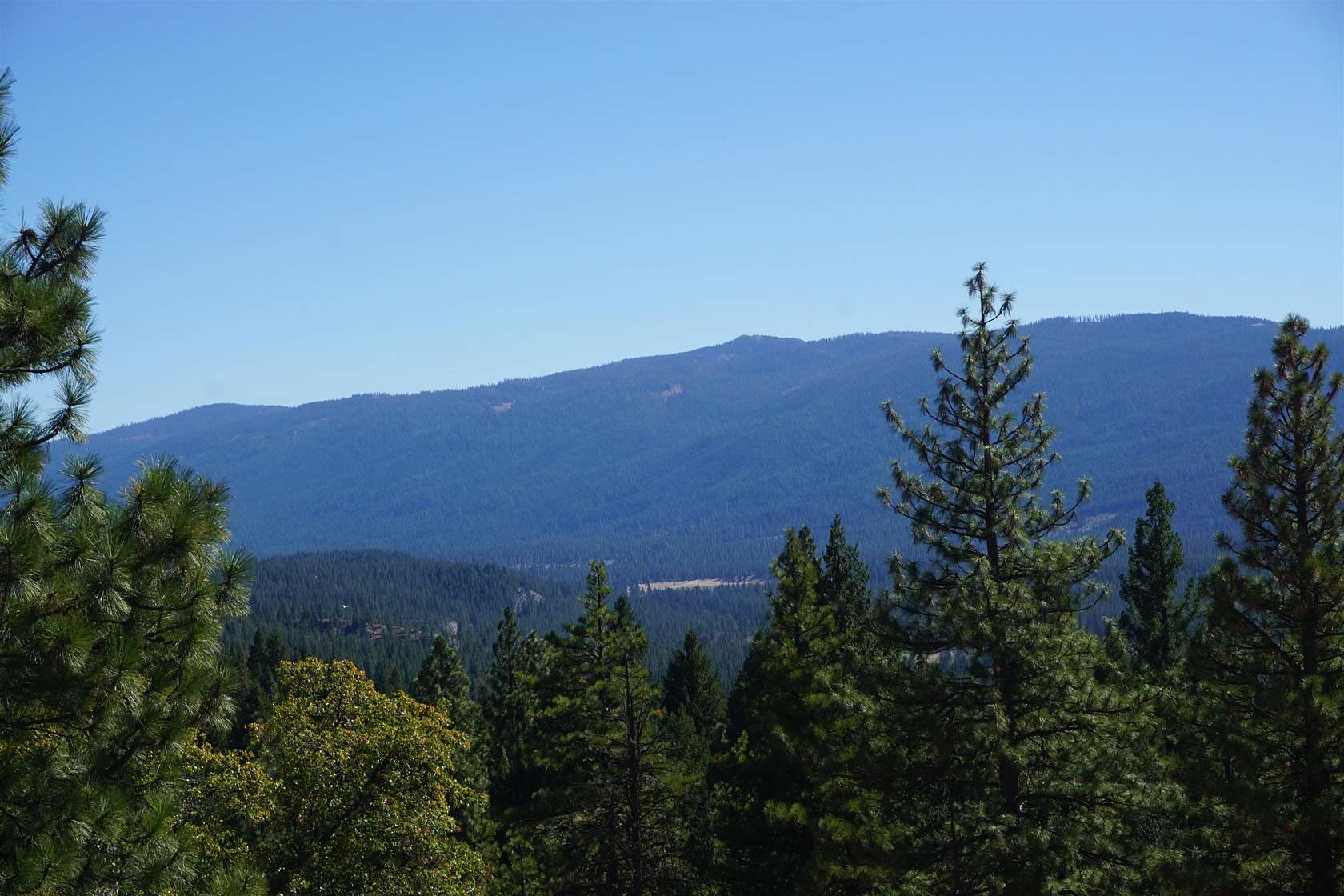 40 Acres of Recreational & Residential Land for Sale in Blairsden, California