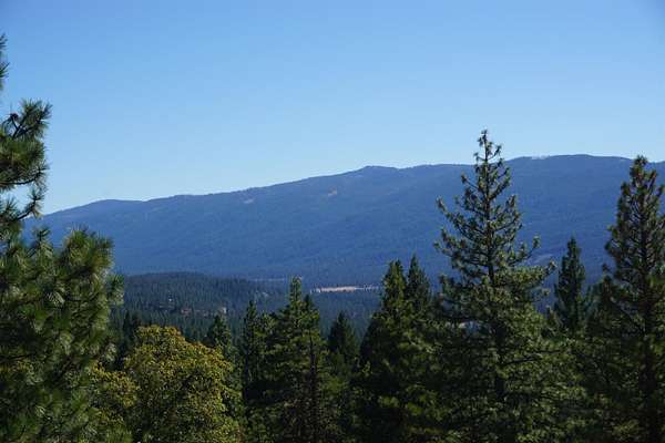 40 Acres of Recreational & Residential Land for Sale in Blairsden, California