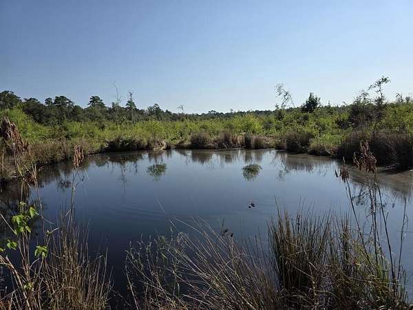 31.1 Acres of Recreational & Residential Land for Sale in Sour Lake, Texas