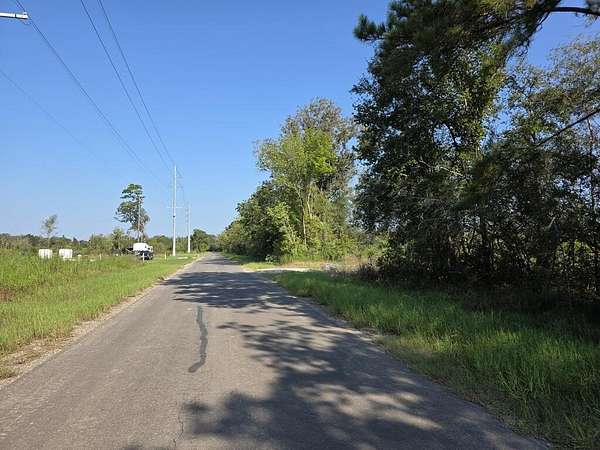 61.3 Acres of Recreational & Residential Land for Sale in Sour Lake, Texas