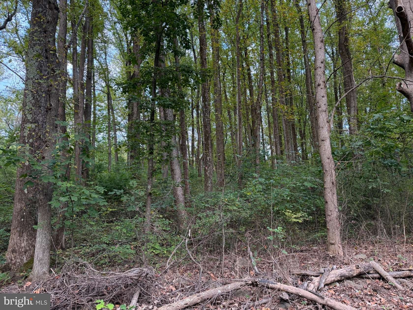 7.3 Acres of Residential Land for Sale in Bentonville, Virginia