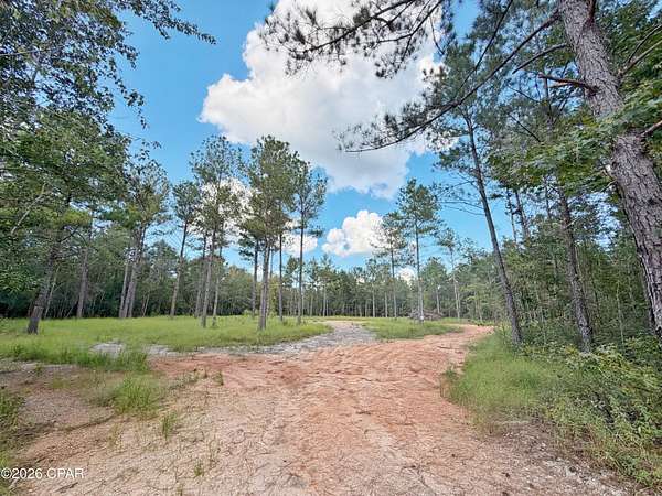 15 Acres of Land for Sale in Marianna, Florida