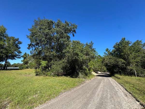 6.7 Acres of Residential Land for Sale in Lake Helen, Florida