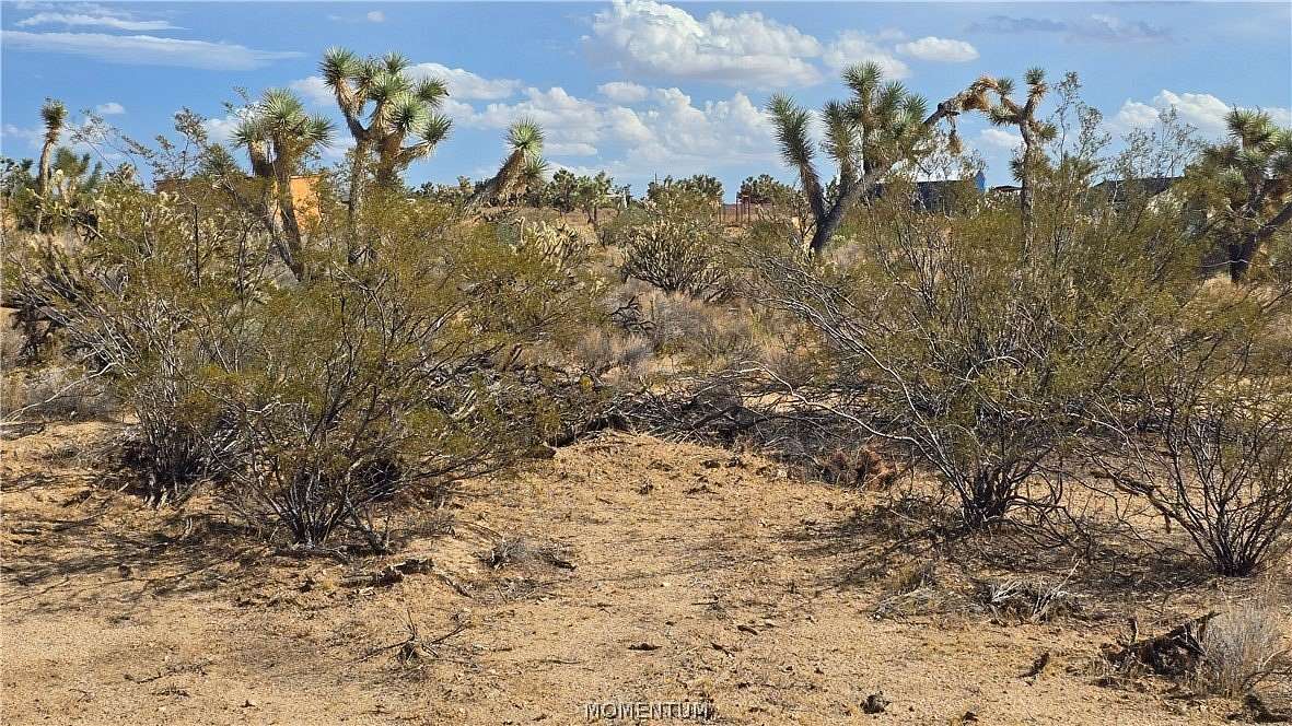 2.2 Acres of Residential Land for Sale in Yucca, Arizona