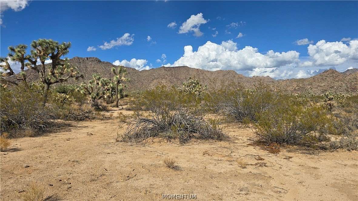 2.2 Acres of Residential Land for Sale in Yucca, Arizona