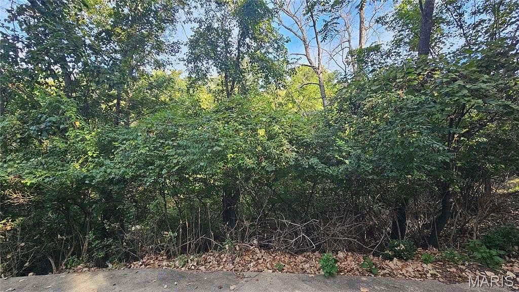 0.3 Acres of Residential Land for Sale in Charrette Township, Missouri