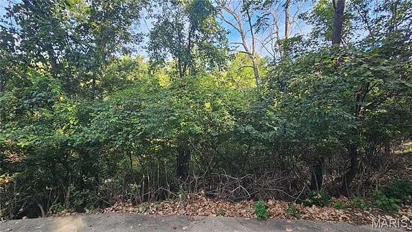 0.3 Acres of Residential Land for Sale in Charrette Township, Missouri
