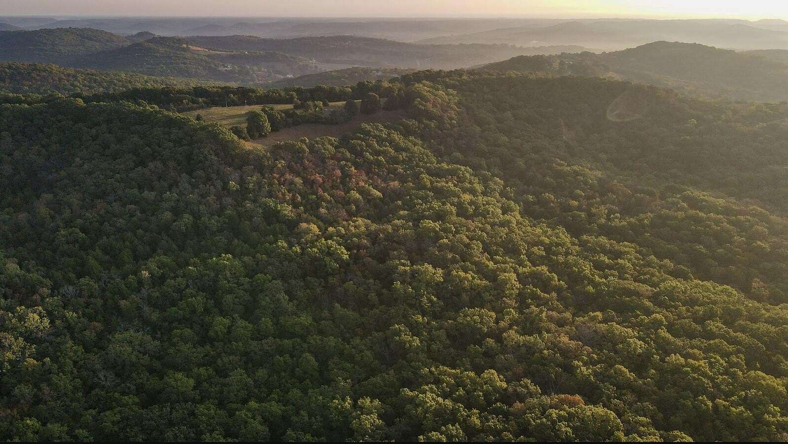 78.2 Acres of Recreational Land for Sale in Walnut Shade, Missouri