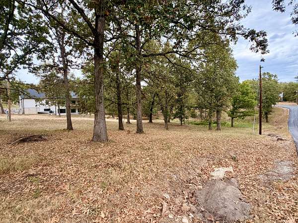 0.5 Acres of Residential Land for Sale in Blue Eye, Missouri