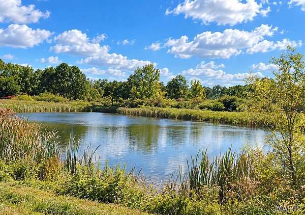 17 Acres of Land for Sale in Owensville, Missouri