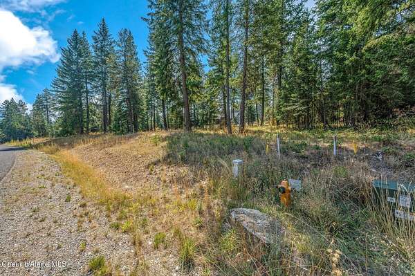 1.12 Acres of Residential Land for Sale in Rathdrum, Idaho