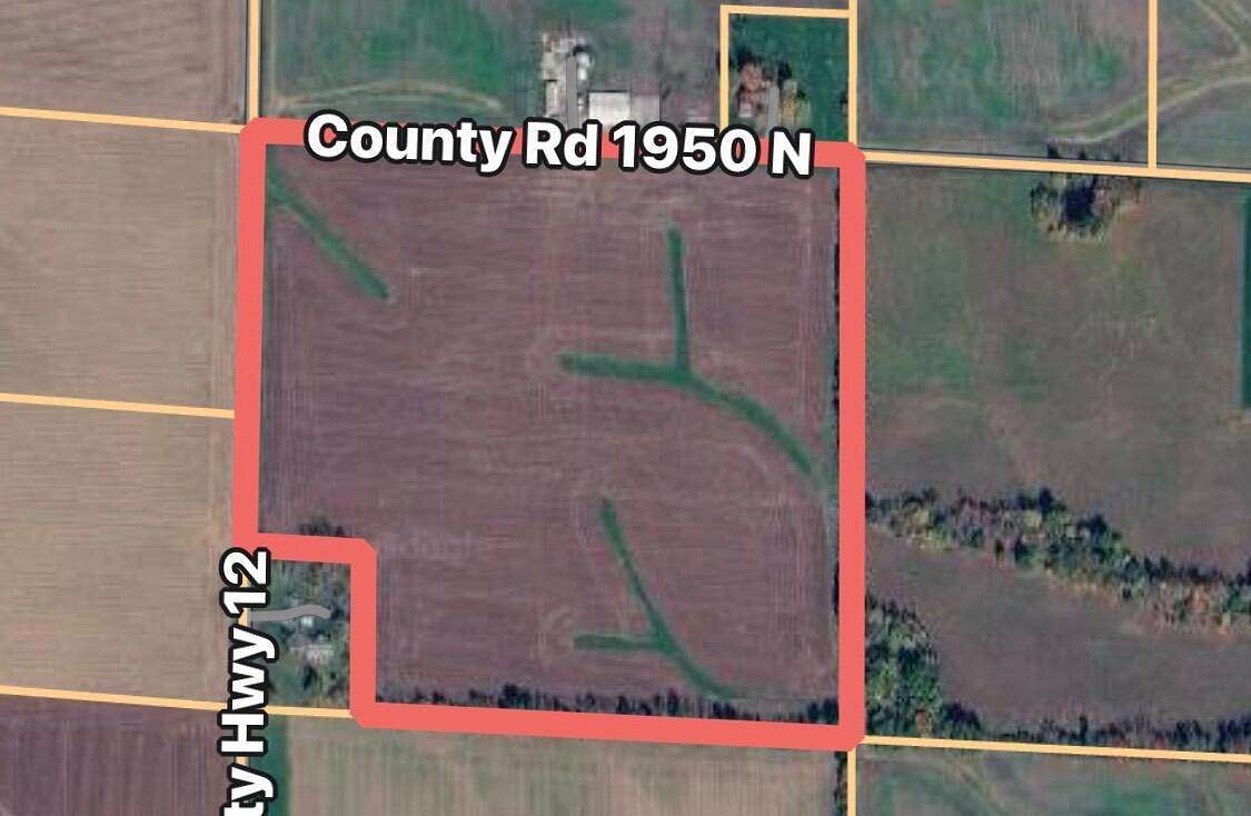 38 Acres of Agricultural Land for Sale in Cisne, Illinois
