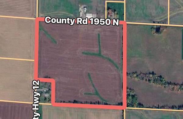 38 Acres of Agricultural Land for Sale in Cisne, Illinois