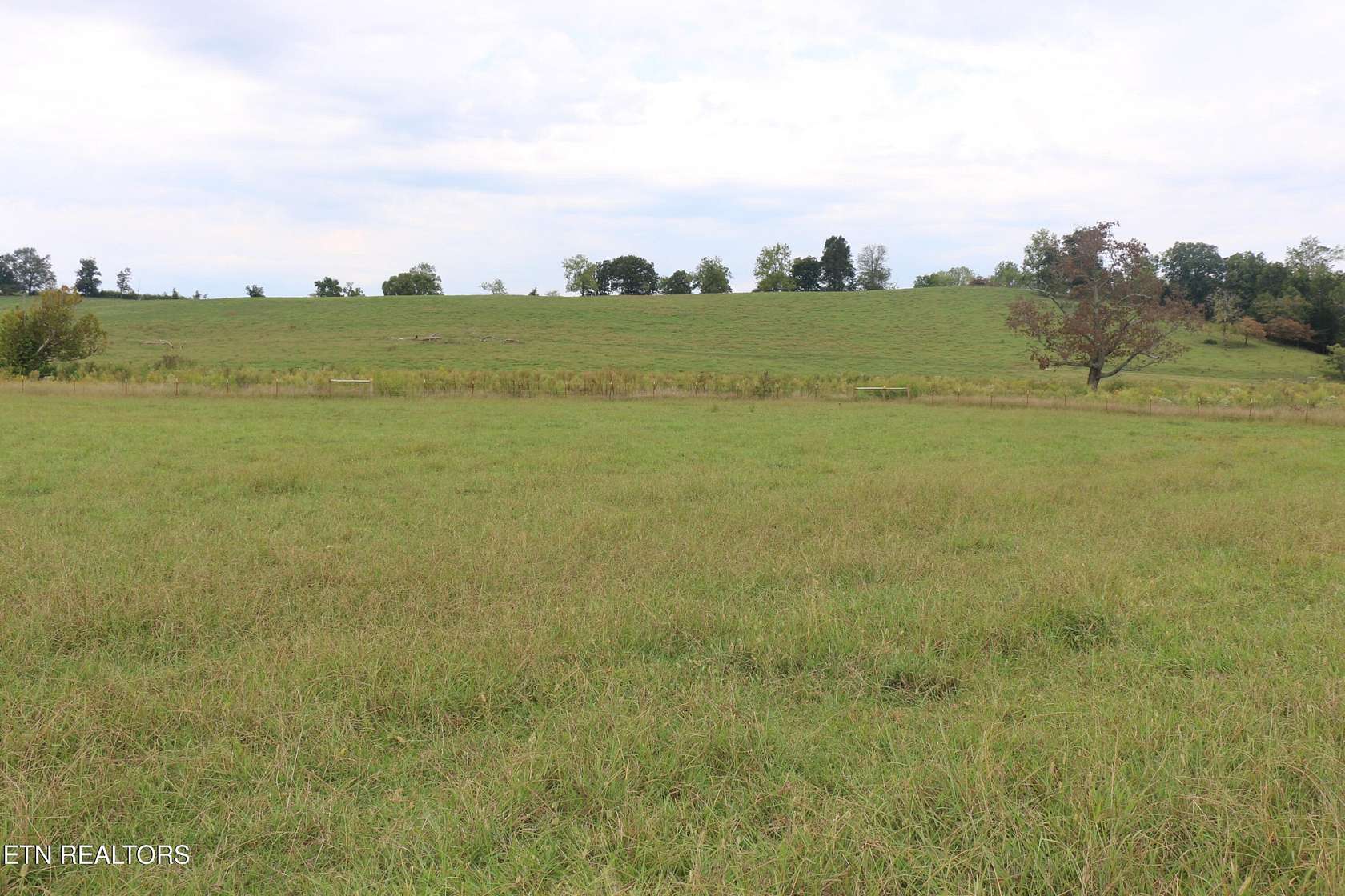 1 Acre of Land for Sale in Englewood, Tennessee
